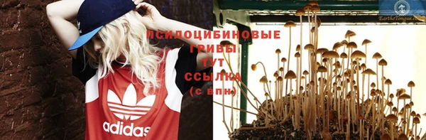 мдпв Лабытнанги