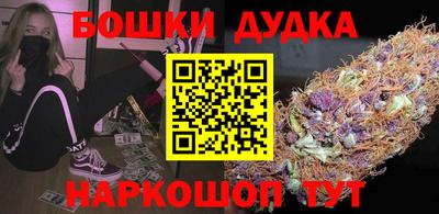 прущие грибы Абакан