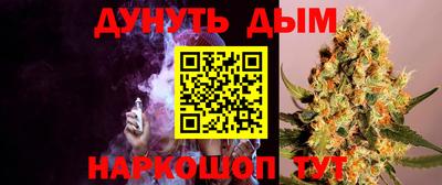 прущие грибы Абакан