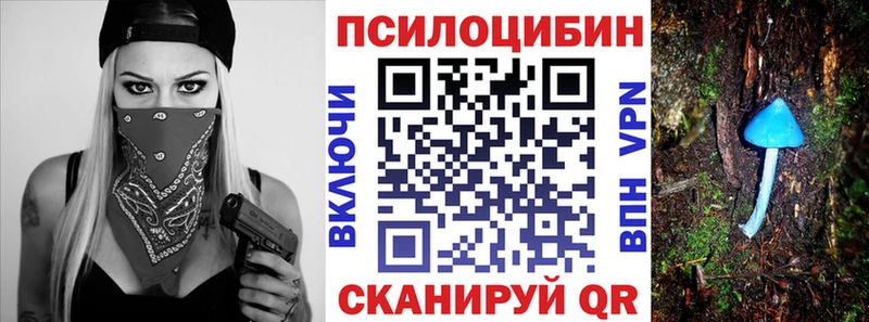 хочу наркоту  Усть-Илимск  Галлюциногенные грибы Psilocybe 