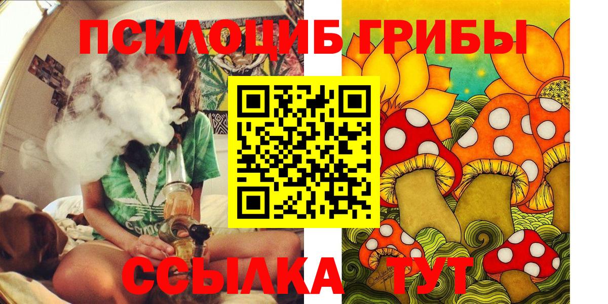 Псилоцибиновые грибы MAGIC MUSHROOMS  Псилоцибиновые грибы Cubensis  Усть-Илимск 