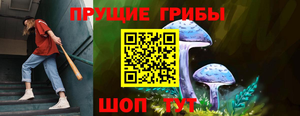 Псилоцибиновые грибы Psilocybe Усть-Илимск
