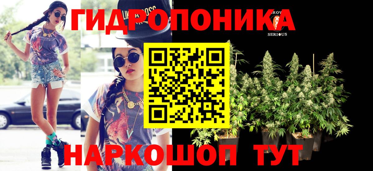 Шишки марихуана THC 21%  Бошки Шишки конопля  Усть-Илимск  Вход с VPN 